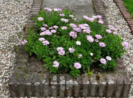 Real Estate in Probate: When Can an Executor of an Estate Convey Real Estate?